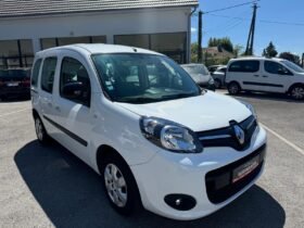 Kangoo 1,5l dci 90cv