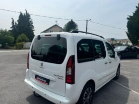 Partner tepee 1,6l hdi 100cv