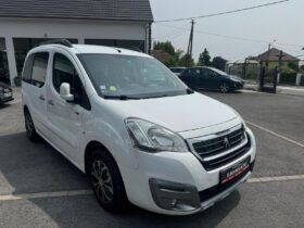 Partner tepee 1,6l hdi 100cv